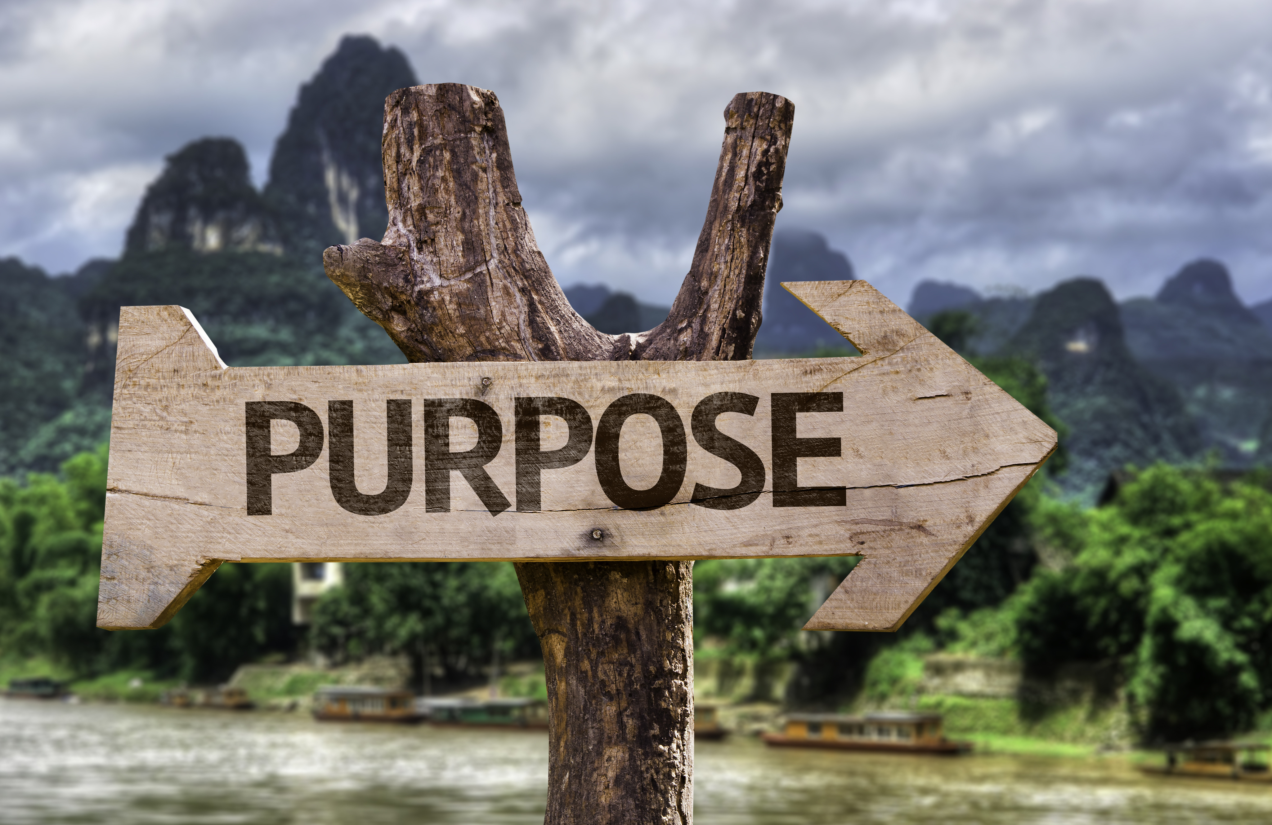 Your purpose in the kingdom